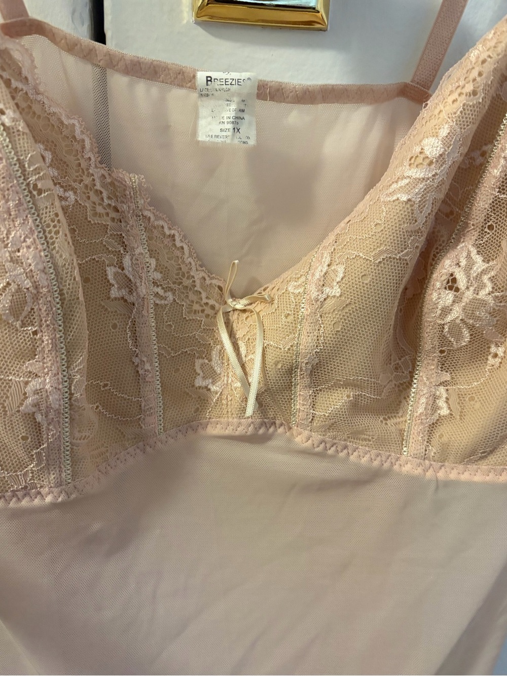 VINTAGE BREEZIES Lace Mesh Bustier Intimate Lingerie Camisole Coquette Top - Picture 6 of 7